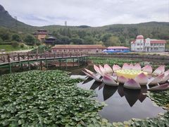 -帽儿山风景区