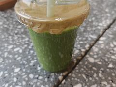 -油梨树AVOCADO TREE(望京店)