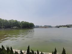 -白洋淀景区