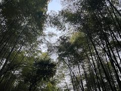 -苏州环秀晓筑养生度假村