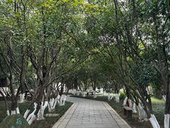 -八大山人梅湖景区