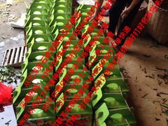 -从化深英荔枝黄皮龙眼采摘园