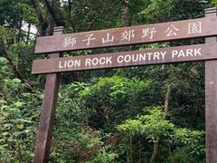 -狮子山郊野公园