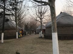 -九十九顶毡房(阜石路店)