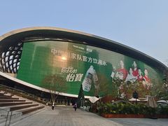 -华润深圳湾体育中心-“春茧” 体育馆