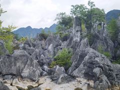 -千岛湖石林