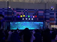 -泉城欧乐堡海洋极地世界