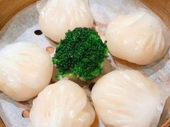 -新陶陶酒家