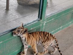 -秦皇岛野生动物园