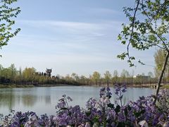 -东郊湿地公园