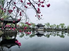 -无锡蠡湖国家湿地公园-蠡园