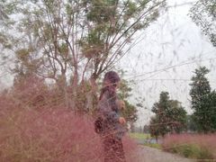 -白鹭湾湿地公园