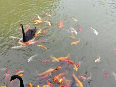 -泰安地下龙宫景区