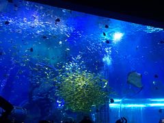 -波塞冬旅游度假区