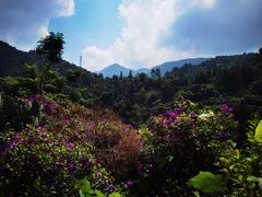 -广东天露山旅游度假区