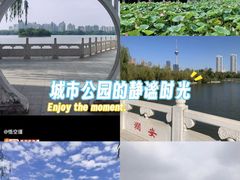 -天津水上公园
