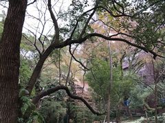 -香港大学