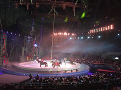 -灵玲国际马戏城