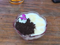 -Sirena海妖日咖夜酒