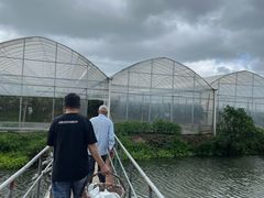 -马陆小张葡萄园农家乐