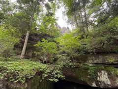 -汤旺河林海奇石景区