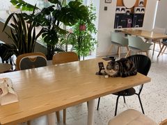 -泉乐坊步行街(烟酒特产平价超市店)