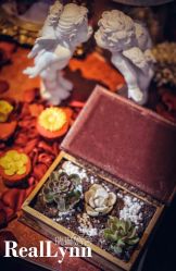 -静安洲际酒店·宴会厅