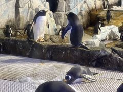 -成都浩海立方海洋公园