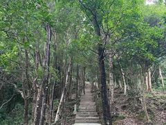 -梧桐山风景名胜区