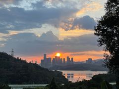 -深圳仙湖植物园