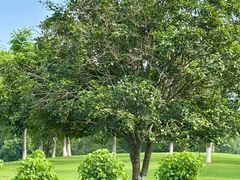 -盘龙城国家考古遗址公园