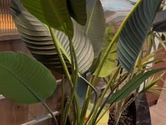 -湊湊火锅·茶憩(皇姑万象汇店)