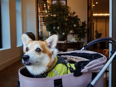 -比斯特上海购物村精品奥特莱斯