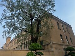 -新疆大厦·慕士塔格餐厅