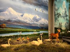 -中国湿地博物馆