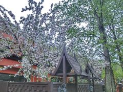 门面-Local泰莲庭(虹鳟鱼店)