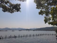 -湖畔居茶楼(湖滨店)