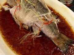 清蒸鲈鱼-玉林烤鸭店(垡头店)