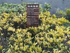 -大湾区中央湿地公园