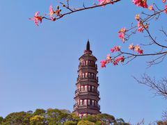 -顺峰山公园