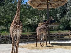 -水上乐园·欢乐世界