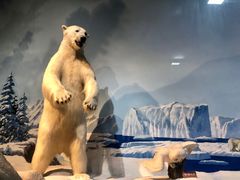 -陕西自然博物馆