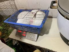 -米二红烧兔(华阳店)