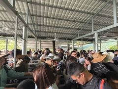 -修水东浒寨风景区