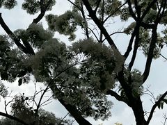 -泰丰公园