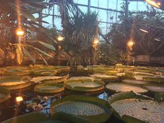 -华南国家植物园-售票处