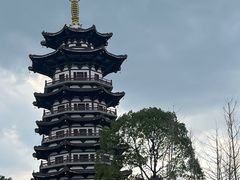 -洋湖国家湿地公园