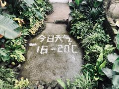 -山城巷传统风貌区