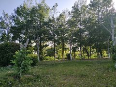 -呈贡滇池生态湿地公园