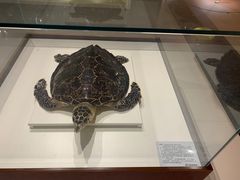 -青岛贝壳博物馆